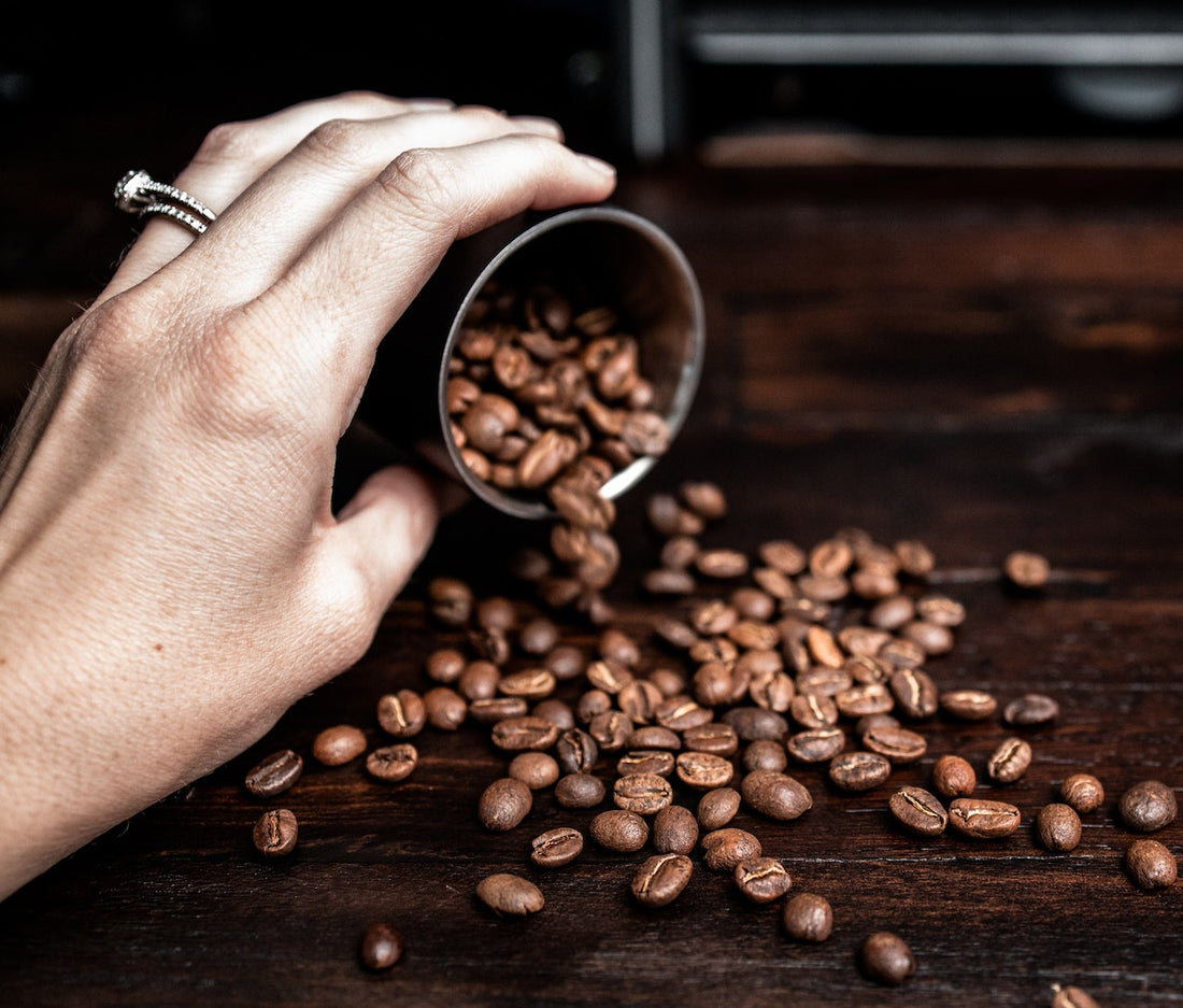 Everything You Need To Know About Arabica Coffee Beans